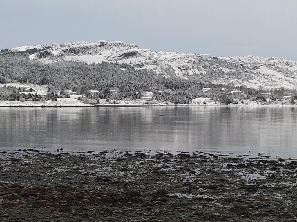 The Spaniards Room Heritage Home Spaniards Bay Exteriér fotografie